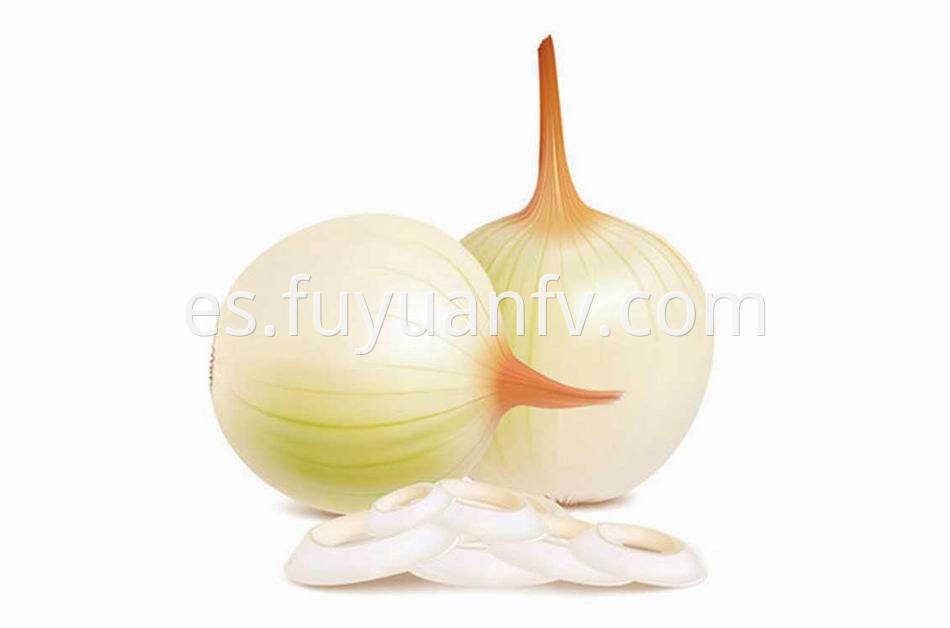 Yellow Onion 21
